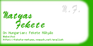matyas fekete business card